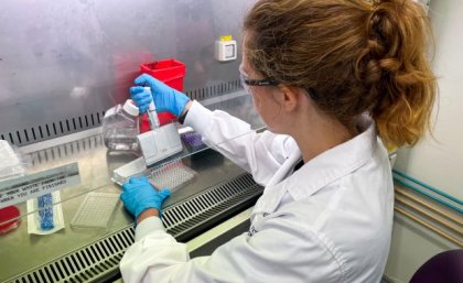 Researcher pipetting in laboratory. Image, UQ